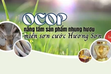 OCOP nâng tầm sản phẩm nhung hươu miền sơn cước Hương Sơn