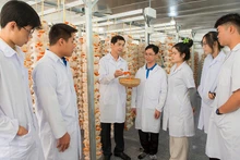 Sinh viên tìm hiểu, nghiên cứu mô hình trồng nấm vân chi đỏ tại Trường đại học Đồng Tháp. (Ảnh Trường đại học Đồng Tháp cung cấp)