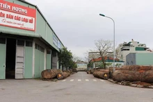 Khu đất liên quan đến vụ việc sai phạm trên tại phường Đồng Nguyên, thành phố Từ Sơn, tỉnh Bắc Ninh.