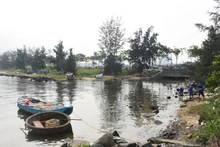 Thu gom, làm sạch môi trường khu vực Vịnh Mân Quang (quận Sơn Trà, thành phố Đà Nẵng).