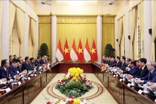 Chủ tịch nước Võ Văn Thưởng hội đàm với Tổng thống Cộng hòa Indonesia Joko Widodo.