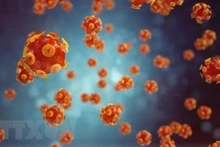 Hình ảnh mô phỏng virus gây bệnh viêm gan. (Ảnh: Getty Images/TTXVN)