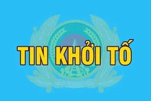 Đồng Nai: Bắt tạm giam 2 đối tượng xâm phạm lợi ích của Nhà nước 