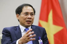 Bộ trưởng Ngoại giao Bùi Thanh Sơn. (Ảnh: TTXVN)