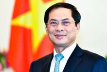 Phó Thủ tướng, Bộ trưởng Ngoại giao Bùi Thanh Sơn.