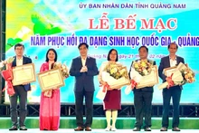 Chủ tịch Ủy ban nhân dân tỉnh Lê Văn Dũng trao Bằng khen của Ủy ban nhân dân tỉnh tặng các tập thể có thành tích xuất sắc trong tổ chức các hoạt động của Năm phục hồi đa dạng sinh học quốc gia - Quảng Nam 2024. 