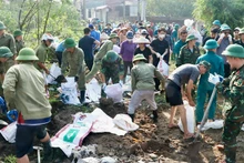 Các lực lượng tham gia ứng phó, gia cố đê do ảnh hưởng của bão số 3 tại Bắc Ninh.