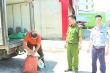 Hơn 300kg lòng lợn bốc mùi hôi thối bị các cơ quan chức năng thu giữ.