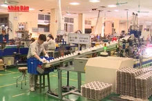 [Video] Nhà khoa học được mở doanh nghiệp để thương mại hóa nghiên cứu