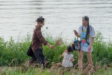 Nhiều khóm cỏ lau tím bị bẻ gãy, giẫm nát do sự thiếu ý thức của một số người.