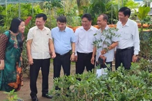 Hội Nông dân các tỉnh, thành phố vùng Đồng bằng sông Cửu Long tham quan mô hình sản xuất cây giống tại huyện Chợ Lách, tỉnh Bến Tre. (Ảnh: HOÀNG TRUNG)