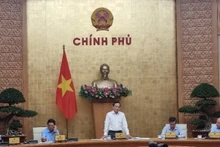 Phó Thủ tướng Trần Lưu Quang phát biểu ý kiến chỉ đạo cuộc họp.
