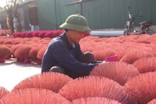 Xã Quảng Phú Cầu là một trong những xã đầu tiên của huyện Ứng Hòa (Hà Nội) triển khai xây dựng điểm du lịch quảng bá làng nghề làm tăm hương. 
