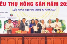 Ký kết hợp tác giữa các hợp tác xã, Hội nông dân tỉnh với các doanh nghiệp trong nước về liên kết sản xuất, tiêu thụ sản phẩm nông nghiệp. 