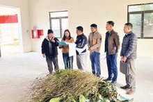 Lãnh đạo Sở Nông nghiệp và Phát triển nông thôn Bắc Kạn kiểm tra, nghiệm thu, bàn giao nhà xưởng mới xây dựng cho Hợp tác xã dược liệu Bảo Châu, huyện Na Rì. (Ảnh THU TRANG) 