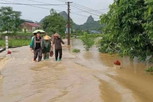 Cần đưa ra các cảnh báo thiên tai cụ thể, sát thực