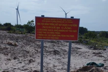 Đất rừng của huyện Tuy Phong.