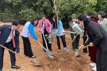 Các đại biểu trồng cây tại Đền thờ nữ Tiến sĩ Nguyễn Thị Duệ.