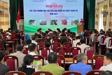 Hội nghị xúc tiến thương mại tiêu thụ sản phẩm vải thiều Thanh Hà.