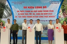 Các đại biểu bấm nút xuất khẩu vải thiều Thanh Hà đi các nước: Nhật Bản, Mỹ, Australia, châu Âu.