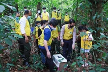 Hoạt động tái thả động vật hoang dã về rừng.