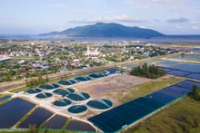 Một góc huyện nông thôn mới Lộc Hà.