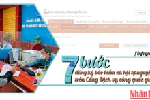  [Infographic] 7 bước đăng ký bảo hiểm xã hội tự nguyện trên Cổng Dịch vụ công quốc gia