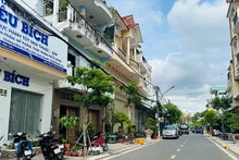 Tuyến đường Lý Thường Kiệt, phường 3, thành phố Bạc Liêu (tỉnh Bạc Liêu), hai bên đường được trồng cây Viết, có gần 30 năm tuổi đang xanh tốt, rất đẹp mắt. Nhưng, không hiểu sao đơn vị chức năng "bứng" đi để trồng các cây khác, khiến nhiều cán bộ, nhân dân rất bức xúc. (Ảnh: TRỌNG DUY)