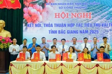 Ký kết hợp tác tiêu thụ vải thiều Bắc Giang 2025.