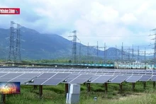 Đi tìm giải pháp thúc đẩy năng lượng xanh