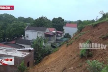 Sơ tán nhiều hộ dân do sạt lở đất ở Thạch Thành
