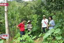 Phụ nữ vùng cao lan tỏa yêu thương và kỳ vọng