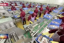 Công nghệ sinh học phát triển nuôi biển bền vững