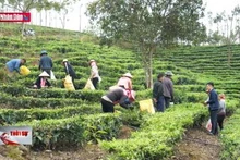 Luân chuyển cán bộ, tạo đột phá cho các xã nghèo