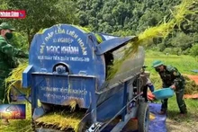 Bộ đội biên phòng giúp đồng bào Rục thu hoạch lúa