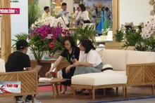 Cơ hội mới cho ngành gỗ Việt Nam