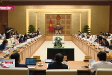Xác định các nhiệm vụ, đề án ưu tiên, cấp bách về văn hóa