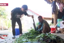 Tạo sinh kế bền vững cho người dân