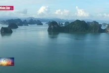 Quảng Ninh đưa Sách Trắng về khu vực vịnh Hạ Long vào giảng dạy