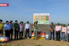 Hậu Giang: Khởi động mô hình canh tác lúa thông minh ướt - khô xen kẽ