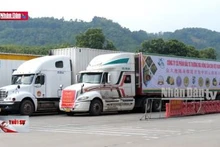 Xuất khẩu sầu riêng qua cửa khẩu Lào Cai thuận lợi