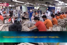 Thành lập nhiều doanh nghiệp để rửa tiền