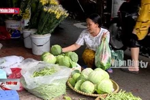 Tăng cường quản lý, điều hành giá sau bão