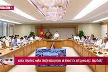 Khẩn trương hoàn thiện Nghị định về thu tiền sử dụng đất, thuê nhà