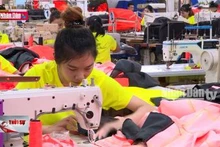 Khu vực kinh tế tư nhân tạo ra 85% việc làm