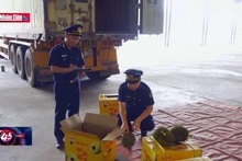 Lạng Sơn: Xuất khẩu nông sản tăng mạnh qua các cửa khẩu
