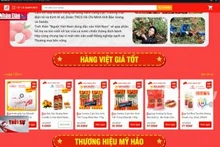 Kiểm soát hơn 8 tỷ lượt giao dịch thương mại điện tử