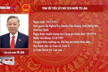 Tóm tắt tiểu sử Chủ tịch nước Tô Lâm