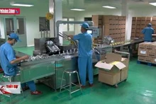 Nhiều hoạt động trong chiến dịch tiêu dùng xanh