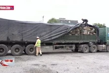 Nghệ An tạm giữ gần 500 tấn đá thạch anh trái phép